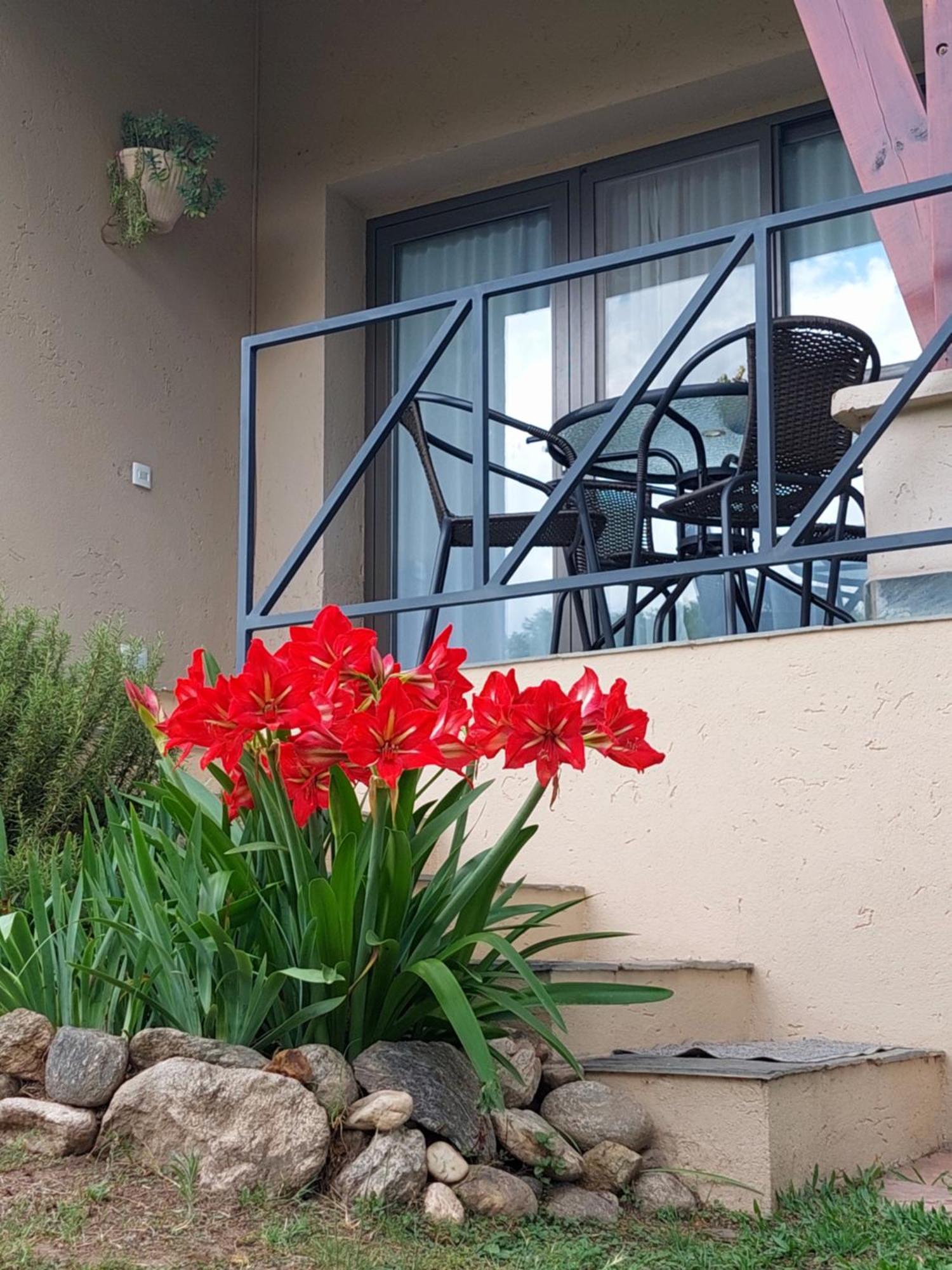 Le Bel-Eden Villa Villa General Belgrano Kültér fotó